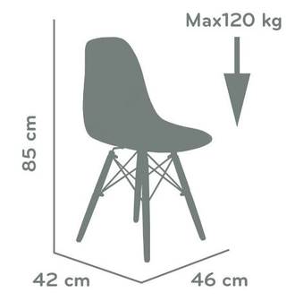 Dsw n 2025