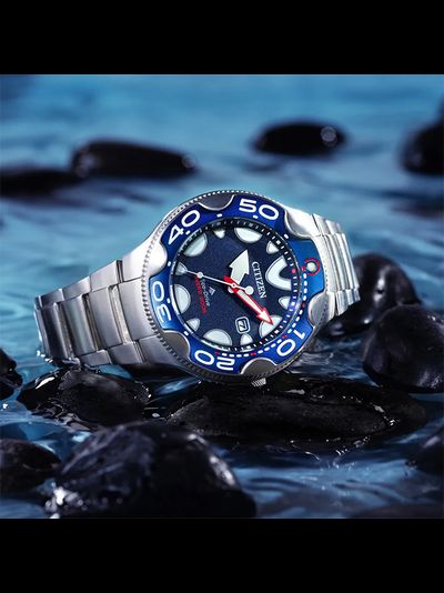 Наручные часы Citizen BN0231-52L