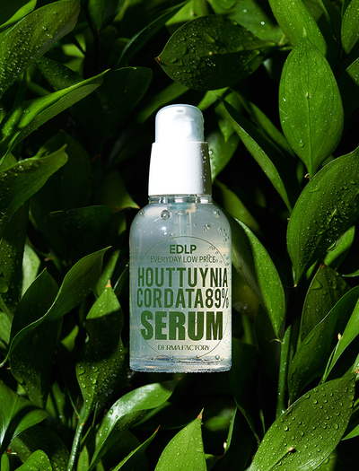 DERMA FACTORY Houttuynia Cordata 89% Serum Сыворотка с экстрактом цветка хауттюйнии (50 мл)