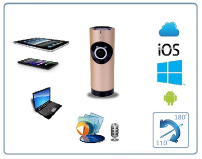 Видеоняня /WiFi видеокамера панорамная с DVR (fish_R), HD) (360EyeS)