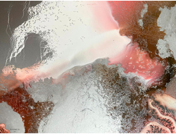 Купить обогреватель-картину Пустынная роза-4