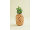 Ананас мини
