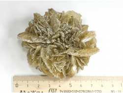 Гипс, "Гипсовая роза", крупный сросток кристаллов, Россия, Ставропольский край (78*69*31 мм, 137 г) №29342