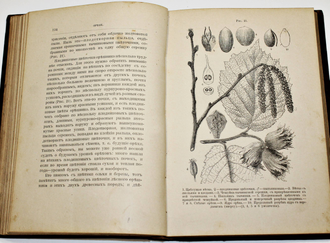 Кайгородов Д. Из зеленого царства. Популярные очерки из мира растений. СПб.: Издание А.С.Суворина, 1892.