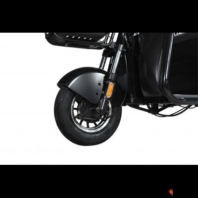 Пассажирский трицикл WHITE SIBERIA SIBTRIKE R 2000W