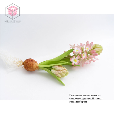 Набор молдов, вайнеров и каттеров "Гиацинт"