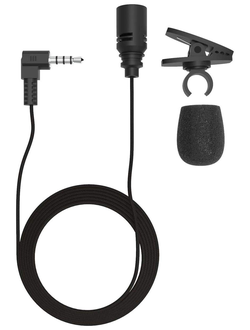 Микрофон-клипса Ritmix RCM-102 (черный)
