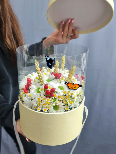 Коробка ромашек с бабочкой №33