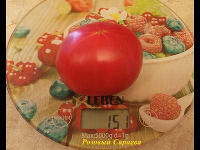 Томат Розовый Сараева