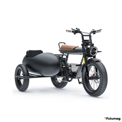 Люлька - Коляска для электровелосипеда COSWHEEL CT20 / CT20S