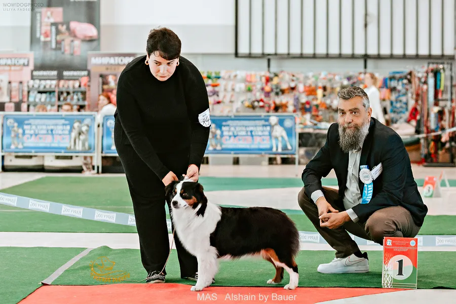 Вот такая она - Юный Гранд Чемпион Беларуси
