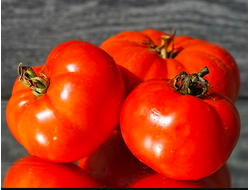 ГРИБОВСКИЙ