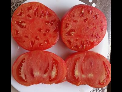 Томат Царский подарок