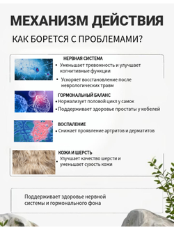 Кормовая добавка для собак с лососевым жиром и тыквенным маслом DOBROPET-32, 60 капсул