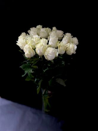 Роза Эквадор белая Мондиаль 60 см. 25 шт