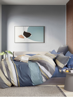 Постельное белье TANGO Twill комплект сатин евро 200x220x1 230x250x1 50x70x2 TPIG3-1714