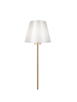 Freya, Напольный светильник (торшер) Forte, FR1006FL-01G