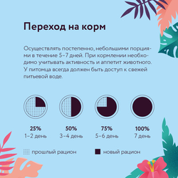 Florida (Флорида) влажный корм (консерва) для собак ягнёнок с черникой, 240 г