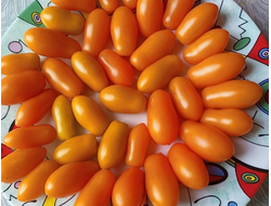 Томат Оранжевый Киз (Orange Keyes)