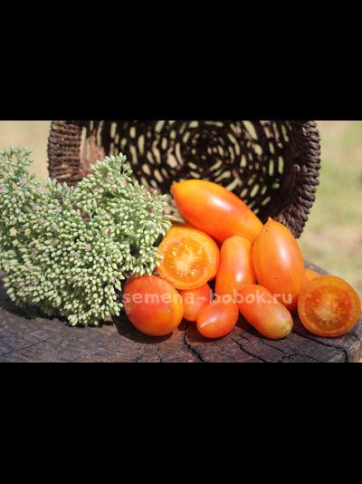 Томат Banana Lemon Singapore (Бананово-лимонный Сингапур), 10 шт.