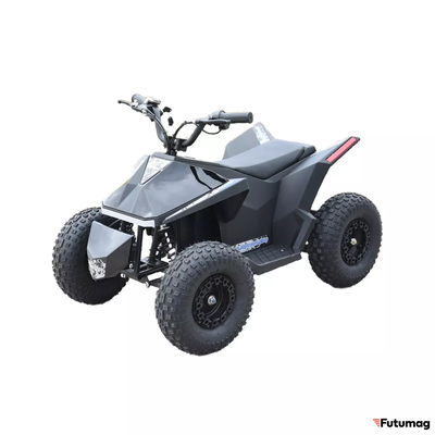 Электроквадроцикл Skyboard CyberTruck Sochi Power 1000W (дифференциальный редуктор)