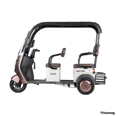 Электротрицикл Rutrike Gelbert Sarin 48V/60V 1000Вт коричнево-белый