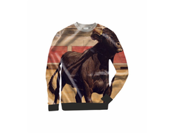 Свитшот с символикой "Быка" №11