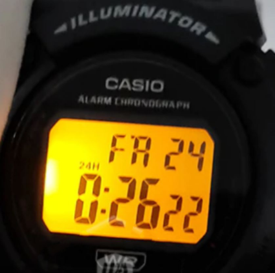 Часы Casio W-219H-2A2