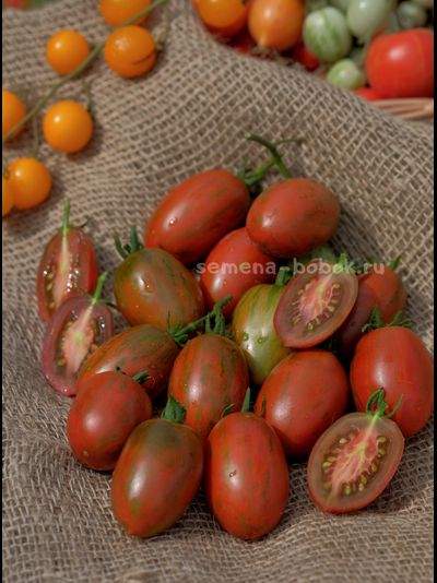Томат Dwarf Audrey’s Love Tomato (Гном Любовь Одри), 10 шт