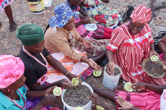 Дыня Калахари (семена) 10 мл - масло базовое нерафинированное