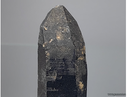 Морион (разн. кварца). Казахстан. 37*12*10мм