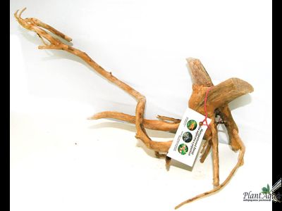 Коряга ПУСТЫННАЯ S (10-30см)