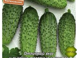 ОГУРЕЦ "ПОРТОС F1» (САМООПЫЛЯЕМЫЙ, еда и маринование, хрустящие)