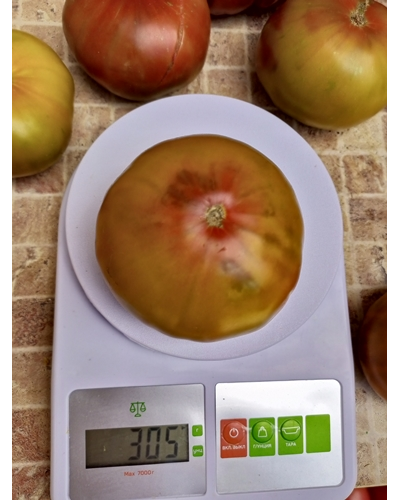 Томат Кленовый Сироп ( Le Sirop D'erable, Франция )