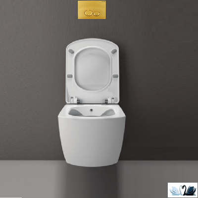 Кнопка смыва CREAVIT DROP GP2006.00 золото матовый