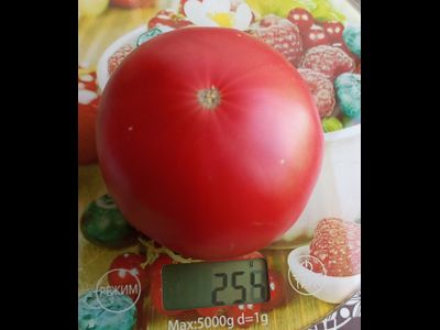 Томат Бренди розовый