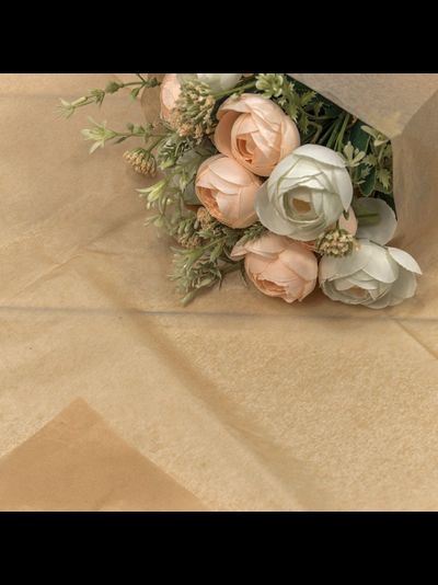 Бумага тишью в листах (10шт., натуральный), 50*66см