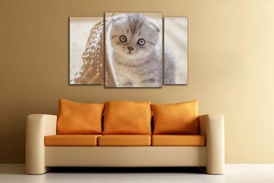 Модульная картина "Маленький в корзиночке"