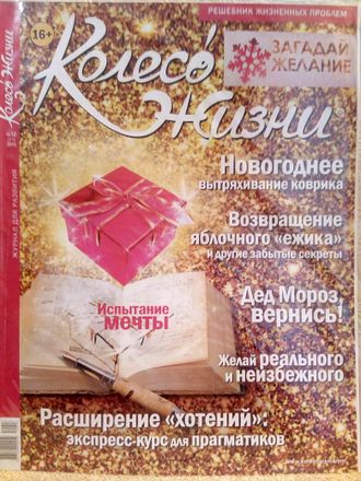 Журнал &quot;Колесо Жизни&quot; Украина № 12 (74) 2013 год