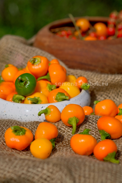 Перец сладкий Mini Bell Yellow (Мини Белл Желтый), 10 шт