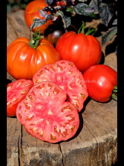 Томат Reduci (Ветеран), 10 шт