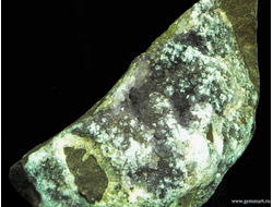 Друза Аметиста на породе