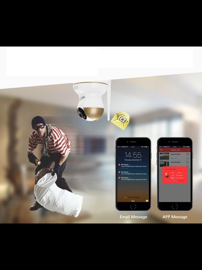 BW. Видеоняня /WiFi-LAN видеокамера моторизированная с DVR , HD (163Eye/Yoosee)