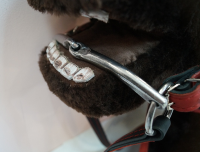 Узда красная