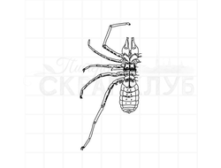 Штамп для скрапбукинга строение паука