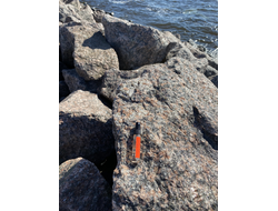 Духи НОТА: УСТА САХАРНЫЕ, 5.5 мл