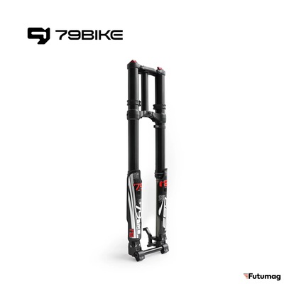 Передняя вилка FORK 79Bike