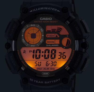 Часы Casio WS-1500H-3B