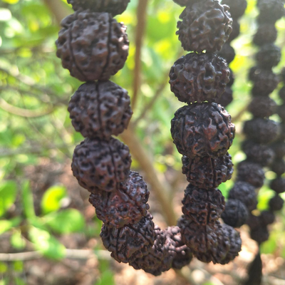 Четки из натуральной крупной Рудракши 108 бусин черные