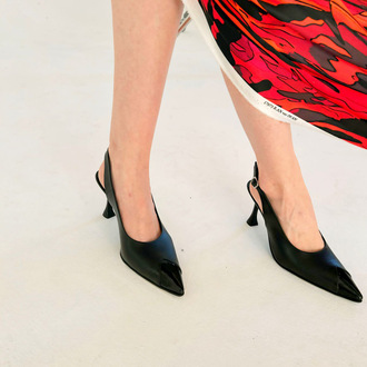 Слингбеки  250006